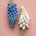 20191021 -- MSAN Convenience and Control -- 400