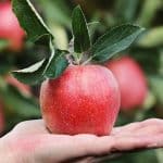 20200420 SEO COVID-19 1600