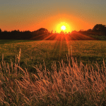 20220308 -- Google Discontinuing Expanded Text Ads (ETAs) -- Erin T.