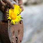 20220322 -- Amazon Brand Protection - You’ve Got Your Keywords Covered…What About Your ASINs -- Reilly