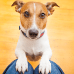 20220324 -- Meta’s Dying Plea to Keep Creators on Instagram -- Lex