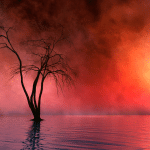 2022005 -- Top 5 Signs Your Amazon Ads are Dead in the Water -- Shannon