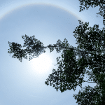 20230328 -- How Leveraging Amazon’s Flywheel and Brand Halo Can Grow Your Business -- Dan