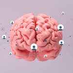 20230622 -- What You Can Learn From the Learning Phase -- Erin G.