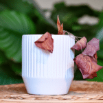 20250211 -- The Importance of Not Neglecting Your Microsoft Ads Account -- Tom