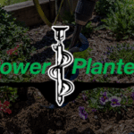 POWER PLANTER CASE STUDY IMAGE