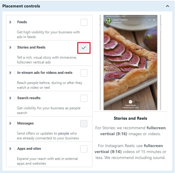 Stories/Reels is the only section that is checked