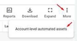 Assets, select More - Account-level automated assets selection in Google ads image