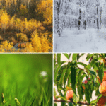 20250821 -- Optimizing PPC Campaigns for Seasonal Peaks A Smart Guide for Google & Microsoft Ads -- John S.